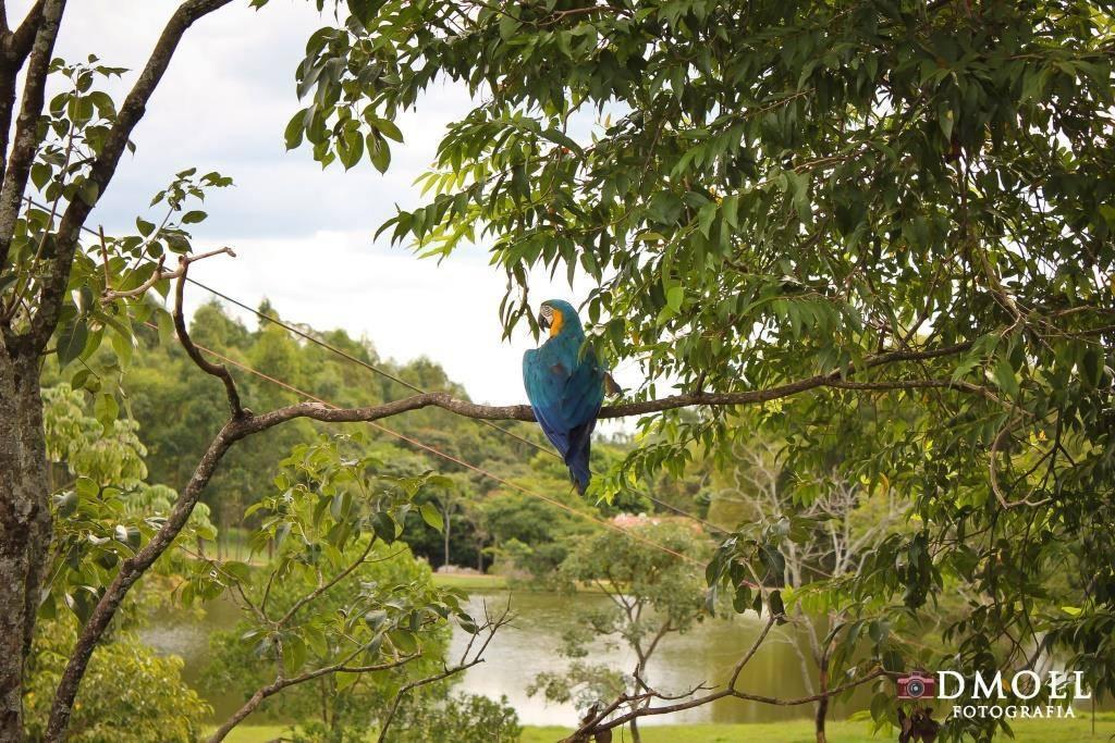 Pousada Fazenda Buracao موكوكا المظهر الخارجي الصورة